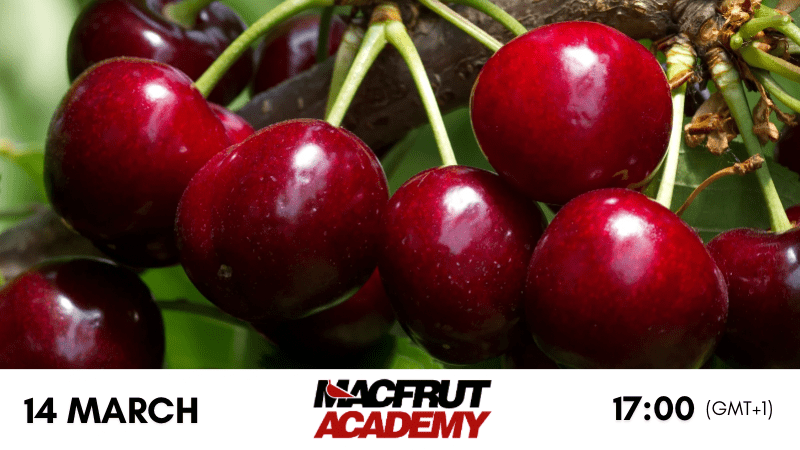 Macfrut Academy_Chilean Cherries
